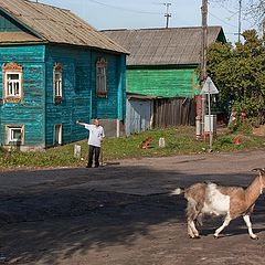 фото "А ну вернись!"