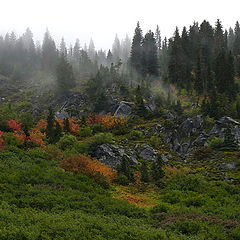 photo "Autumn fog"