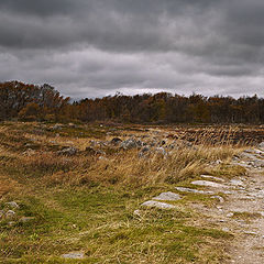 photo "On the threshold of heaven..."