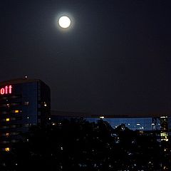 фото "Marriott Moon"