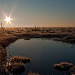 фото "В легком морозце."