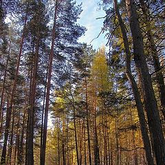 фото "В конце сентября"