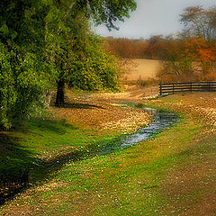 photo "Fall Creek"