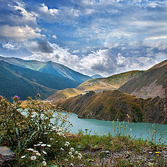 photo "Summer day in the mountains"