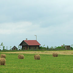 фото "Мельница"