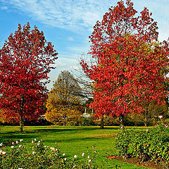 photo "Autumn Ends"