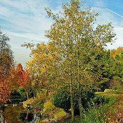 photo "Beauty of Autumn"