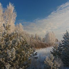 фото "Зимнее утро в лесу."