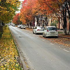 фото "Уличная осень"