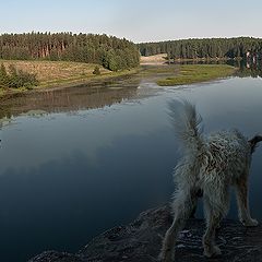 фото "Чому я не сокил...)"