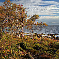 photo "Subject to winds"