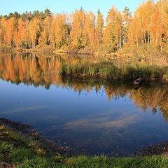 фото "Золотая осень"