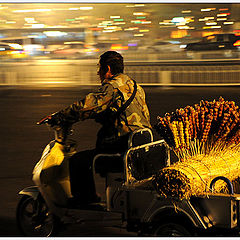 фото "2010National Day-5"