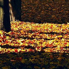фото "на ковре из желтых листьев"