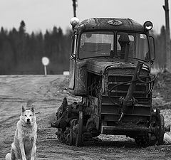 фото "На боевом посту"