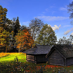 фото "Сладкая парочка"