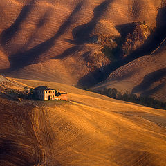 photo "Old farm..."