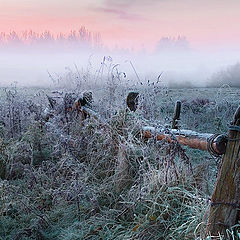 фото "..огородами.."