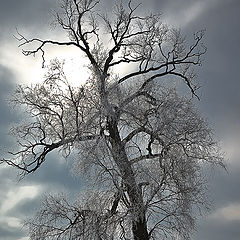 фото "Февраль"