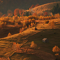 photo "Sirnea, Romania"