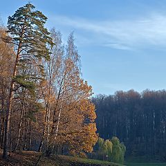 фото "Осенний этюд"