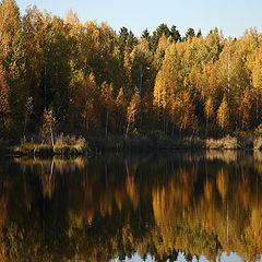 фото "Золотая осень"