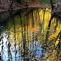 фото "Golden pond / Золотой водоем"