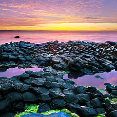 фото "Giant Causeway"