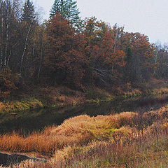 фото "Предзимье."