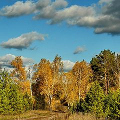 фото "Золотая осень"