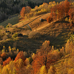 фото "Autumn at it's best"