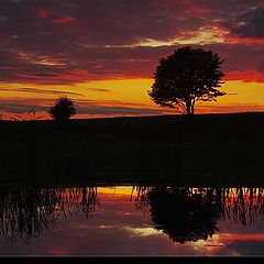 photo "reflection"