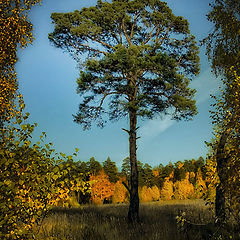 фото "Осенняя живопись"