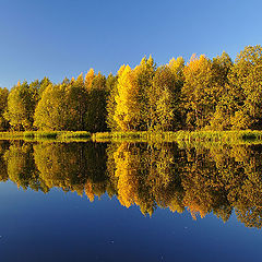 фото "Зеркало"