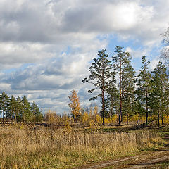 фото "Краем торфяника"