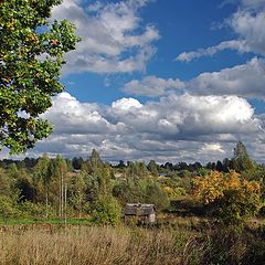 photo "Rural autumn"