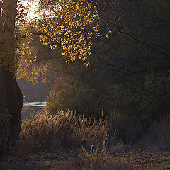 фото "Проводы лета."