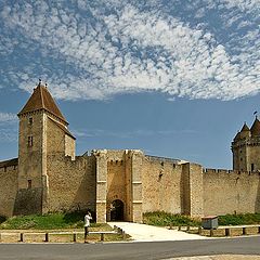 photo "Castle of Blandy les tours"
