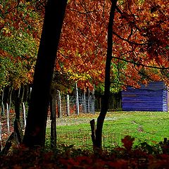 photo "blue barn"