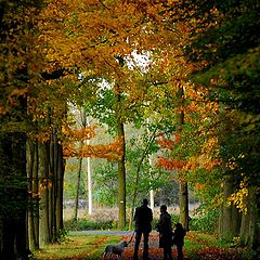 photo "autumn walk"