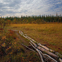 фото "Гать"