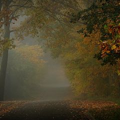 photo "misty autumn day"