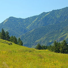 photo "Altay's landscape"