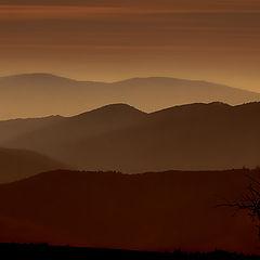 photo "Chocolate Evening"