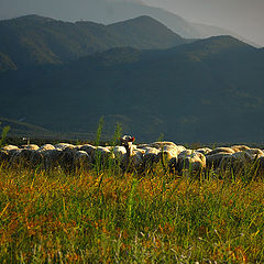 photo "At the foothill of Olympus"