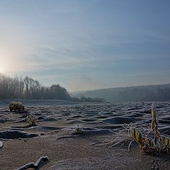 фото "По дну"