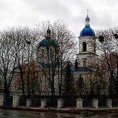 фото "грачи улетели.."