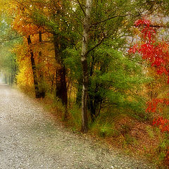 photo "***"