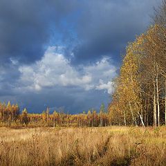 фото "Золотая осень"