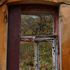 photo "***"